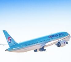 대한항공 프로모션 : 하노이 - 인천 왕복 347불