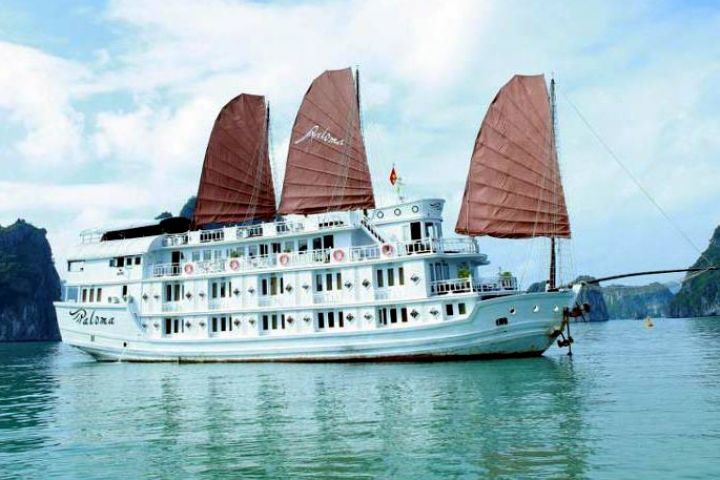 Paloma Cruise 4* - Halong Bay Tour