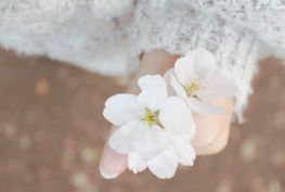 아시아나 항공 프로모션 : 10% 할인