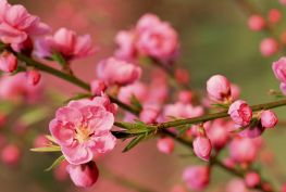  베트남 ↔ 한국 항공편 운항 스케줄 [2022.12~2023.02]