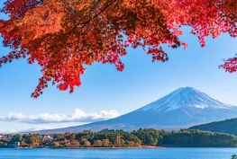 대한 항공 / 하노이 - 일본 항공권 프로모션