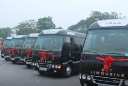 16 Seat Fuso Limousine