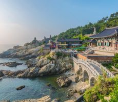 ASIANA KHUYẾN MẠI CHÀO THÁNG BẢY 