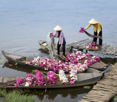 CẬP NHẬT LỊCH BAY NHẬP CẢNH ĐẶC BIỆT INCHEON - HÀ NỘI THÁNG 5~6