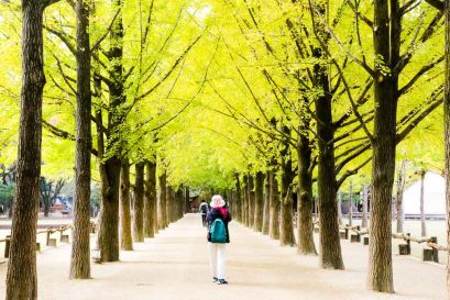 Tận hưởng mùa thu lãng mạn Hàn Quốc: Seoul - Everland - Đảo Nami (Jeju Air - 5N4Đ)