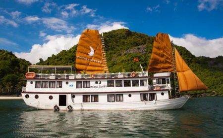 Phoenix Cruise 3* - Halong Bay Tour