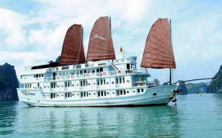 Du thuyền Paloma 4* (Hạ Long 2 ngày 1 đêm)