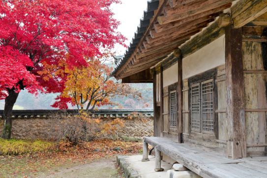 [ASIANA] SPECIAL ENTRY FLIGHTS SCHEDULE 