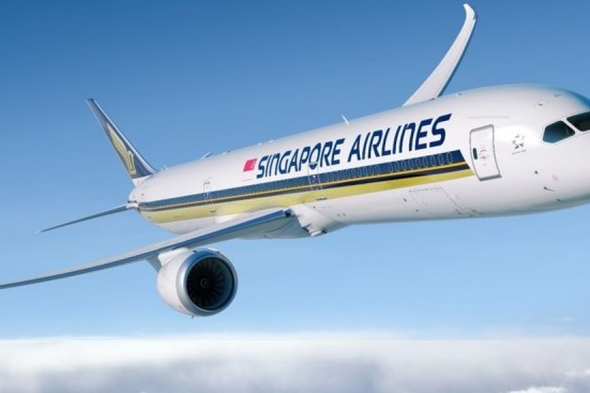 Nhập cảnh đặc biệt vào Việt nam cùng Singapore Airlines 