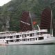Du thuyền Oriental Sails 3* (Hạ Long 2 ngày 1 đêm)