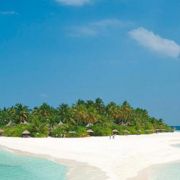 Chuyên nghiệp, tận tình với khách hàng