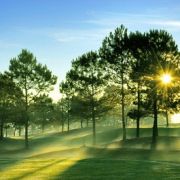 Tuần trăng mật của chúng tôi